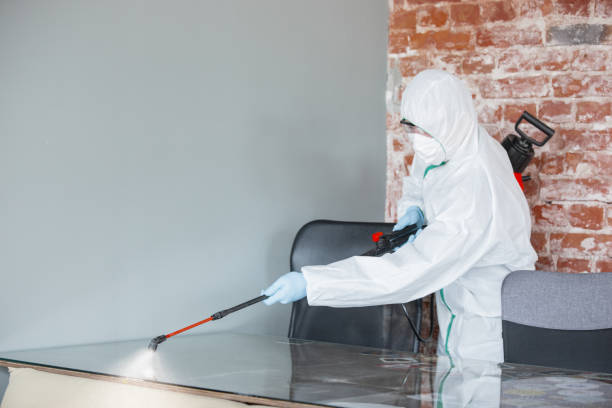 Mold Remediation for Vacation Homes in Slocom, AL